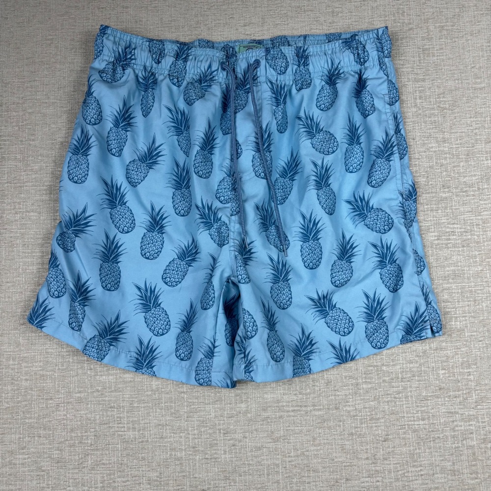 Burnside Mens Blue Pineapple Print Swim Trunks Mesh Lined Shorts Size Large